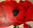 poppy